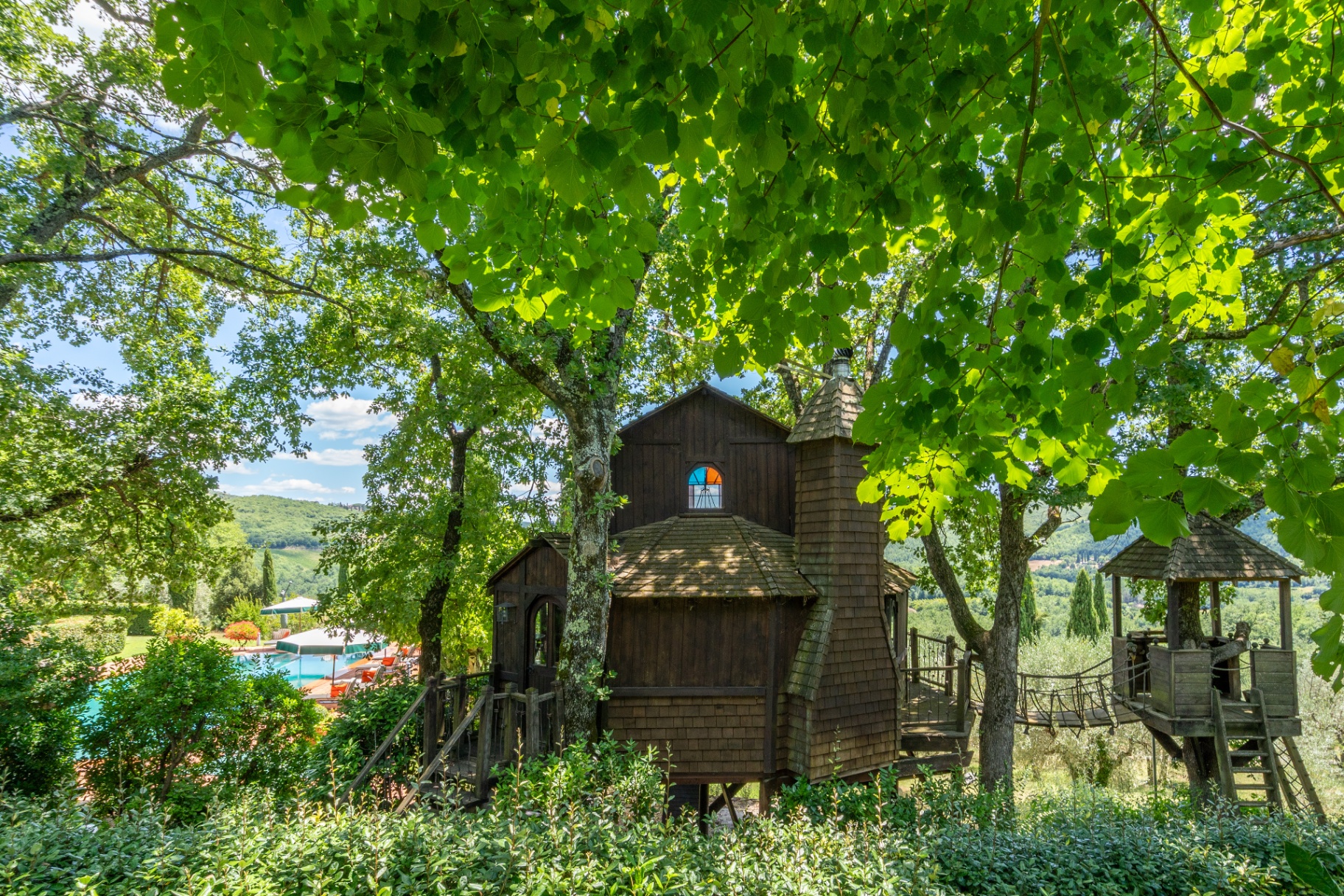 Wooden treehouse nestled in the tree canopy with a rope bridge to a smaller lookout