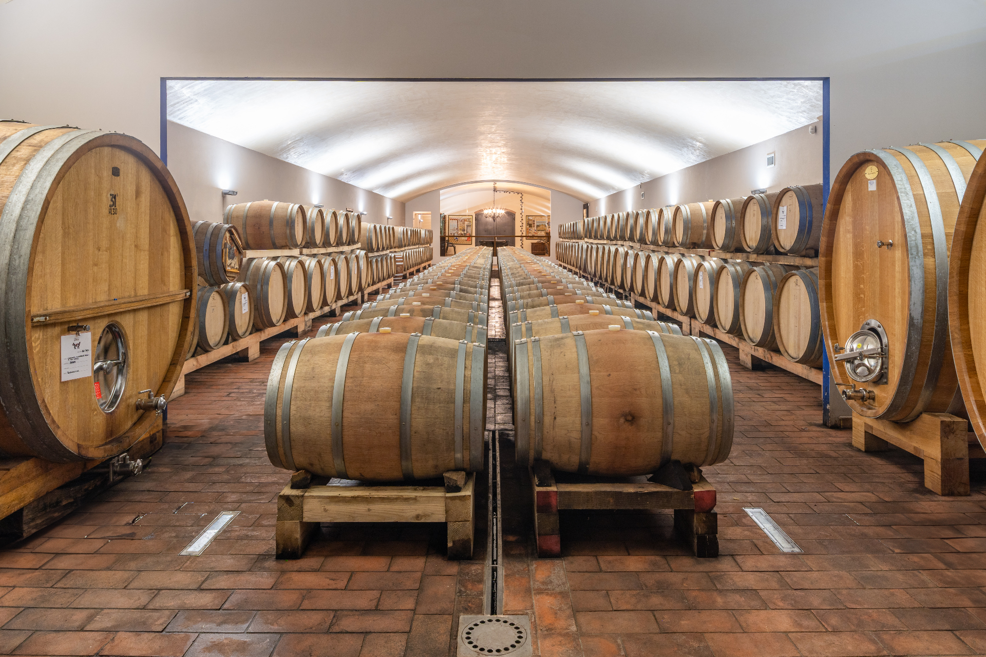 Rows of oak barrels and large casks ageing wine in the vaulted cellar