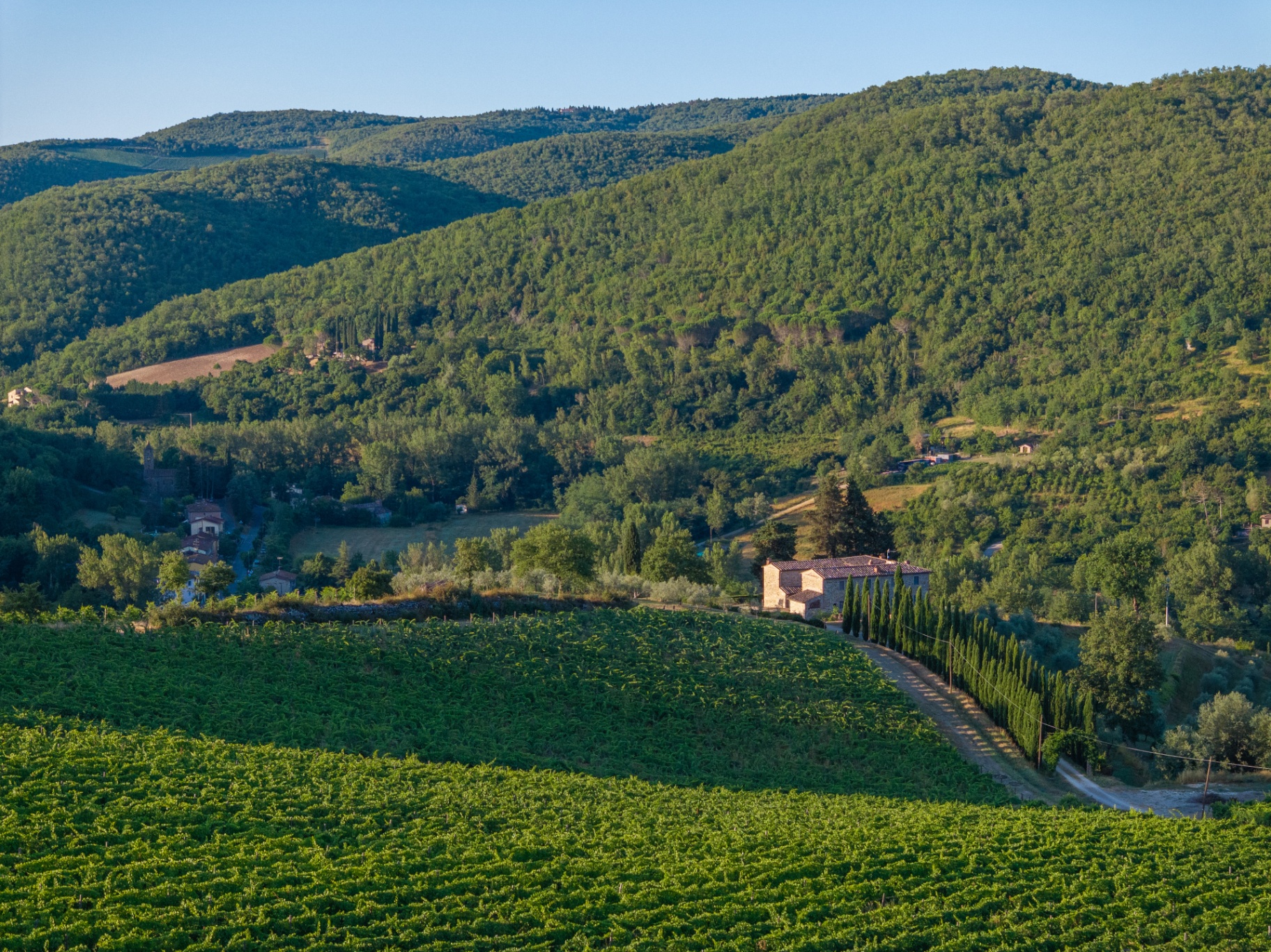 Aerial view of Rimocine farmhouse nestled among the vineyards and Chianti hills