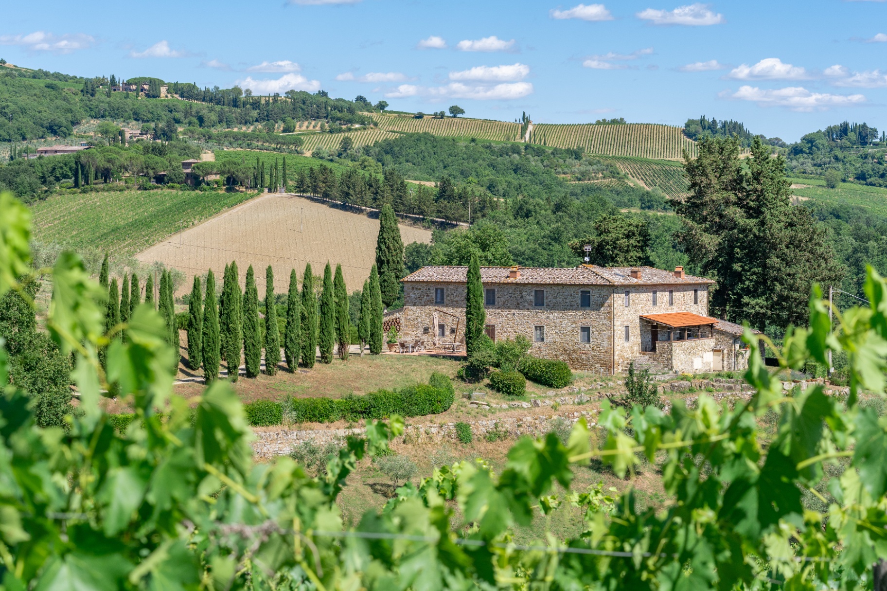Rimocine stone farmhouse surrounded by cypress trees and vineyards