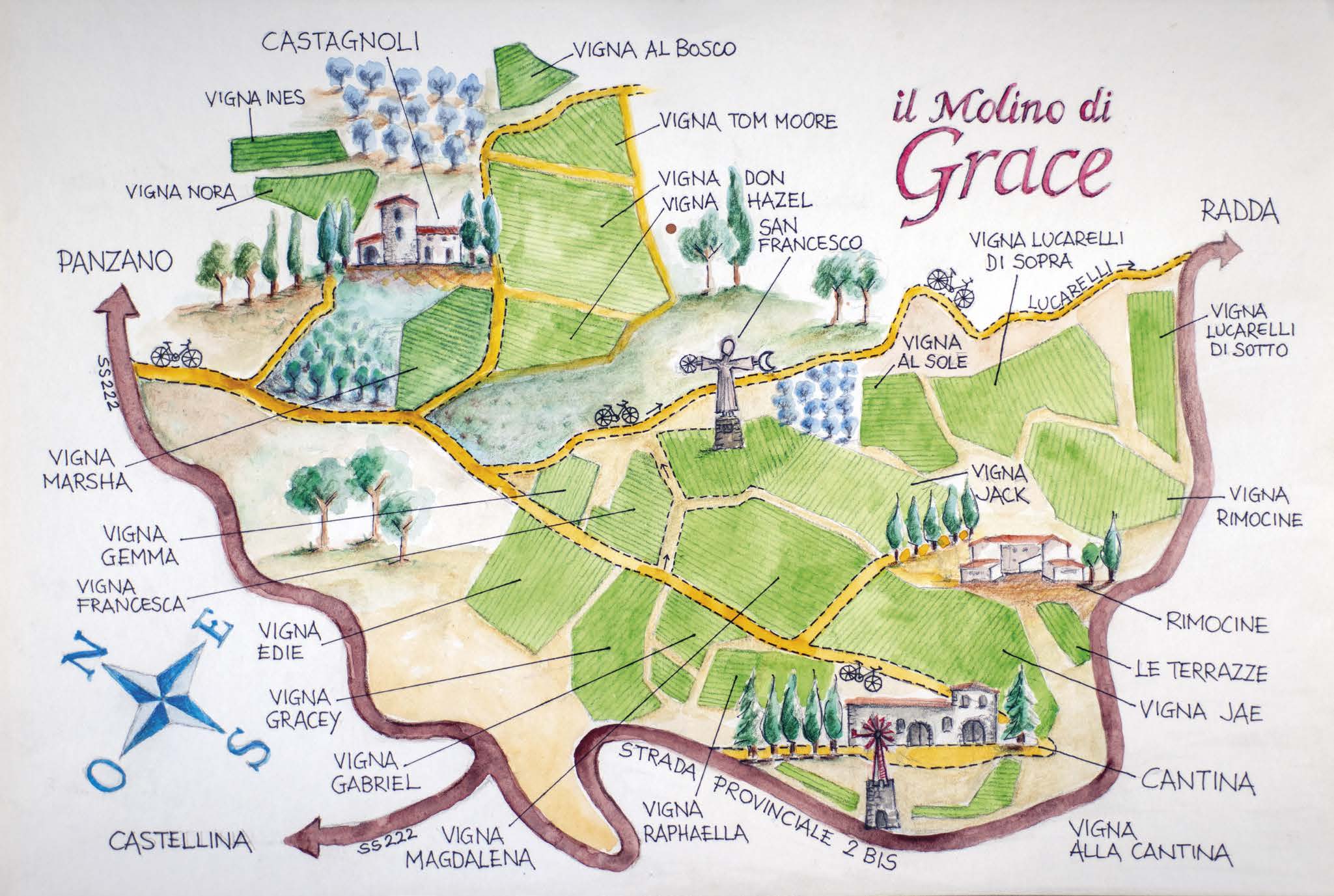 Aerial map of the Il Molino di Grace vineyard plots